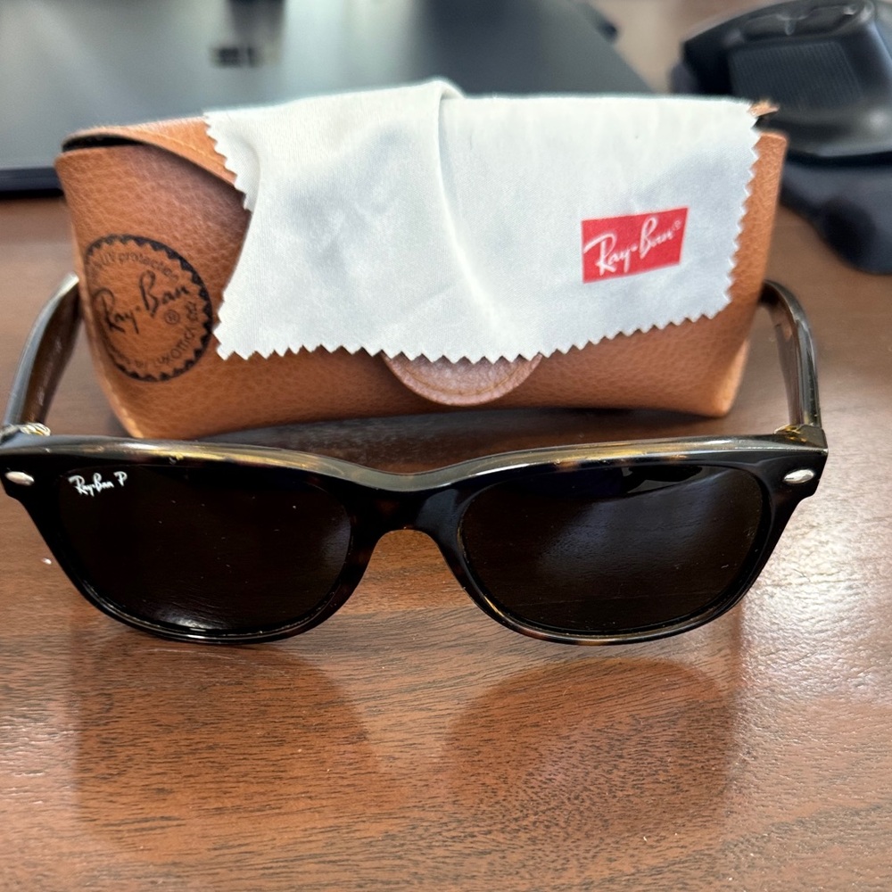 Ray-Ban Wayferer Classic Black Sunglasses with Brown Case